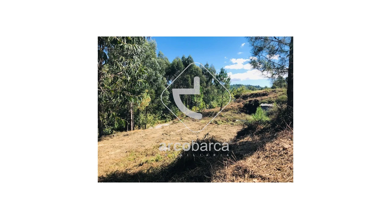 Terreno para Venda em Infesta Foto 10