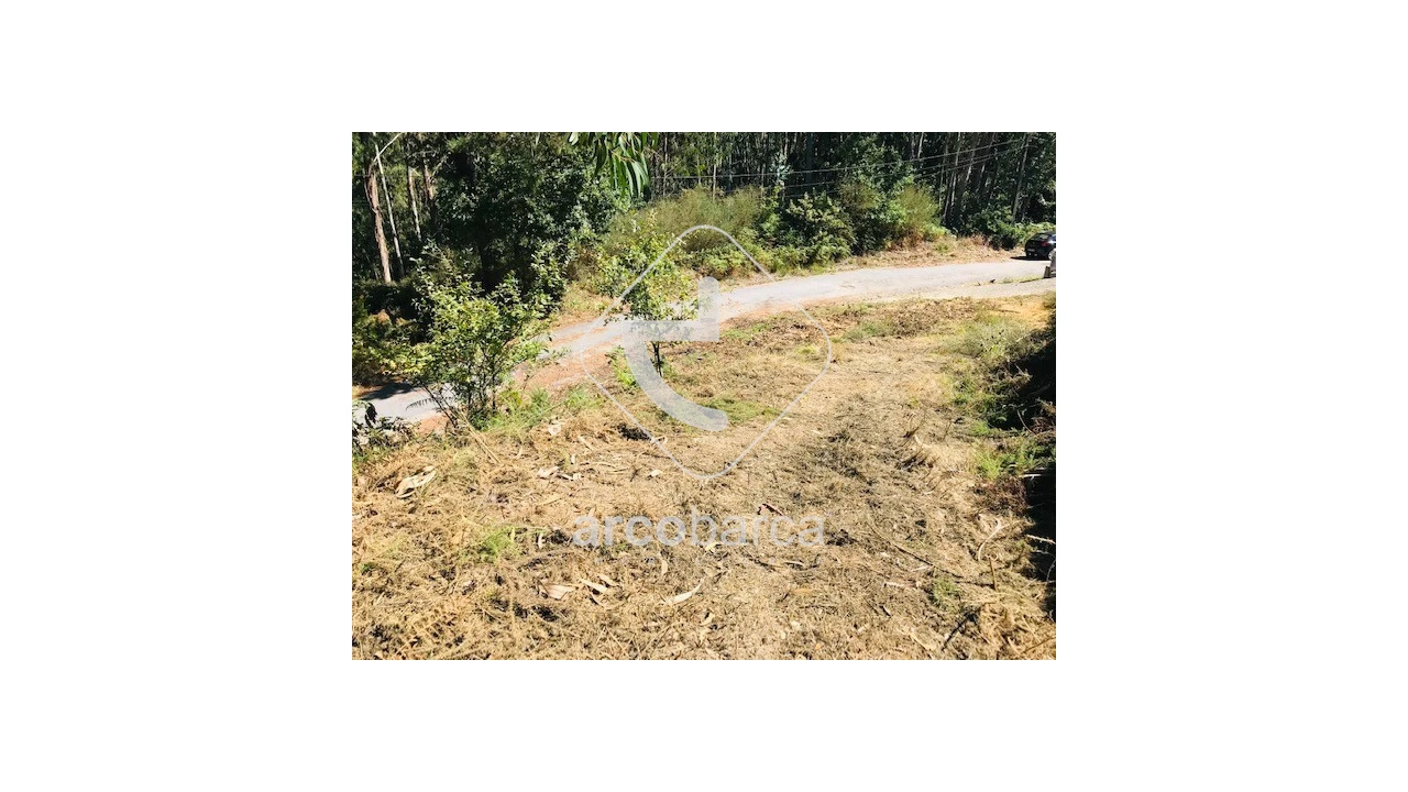 Terreno para Venda em Infesta Foto 18