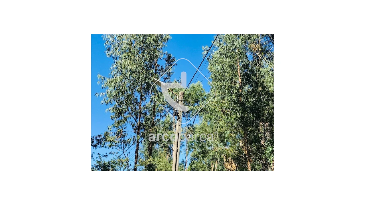 Terreno para Venda em Infesta Foto 23