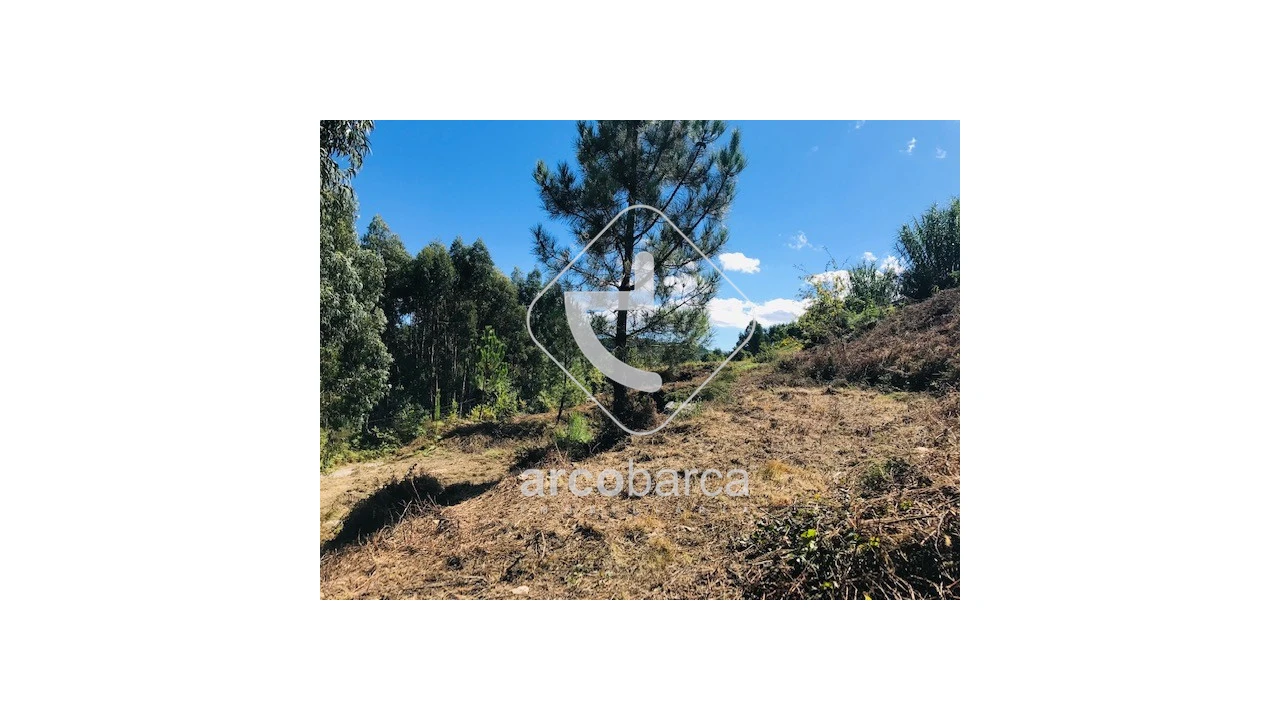 Terreno para Venda em Infesta Foto 12