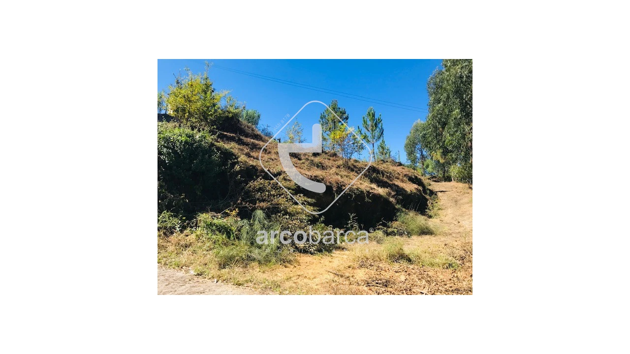 Terreno para Venda em Infesta Foto 14