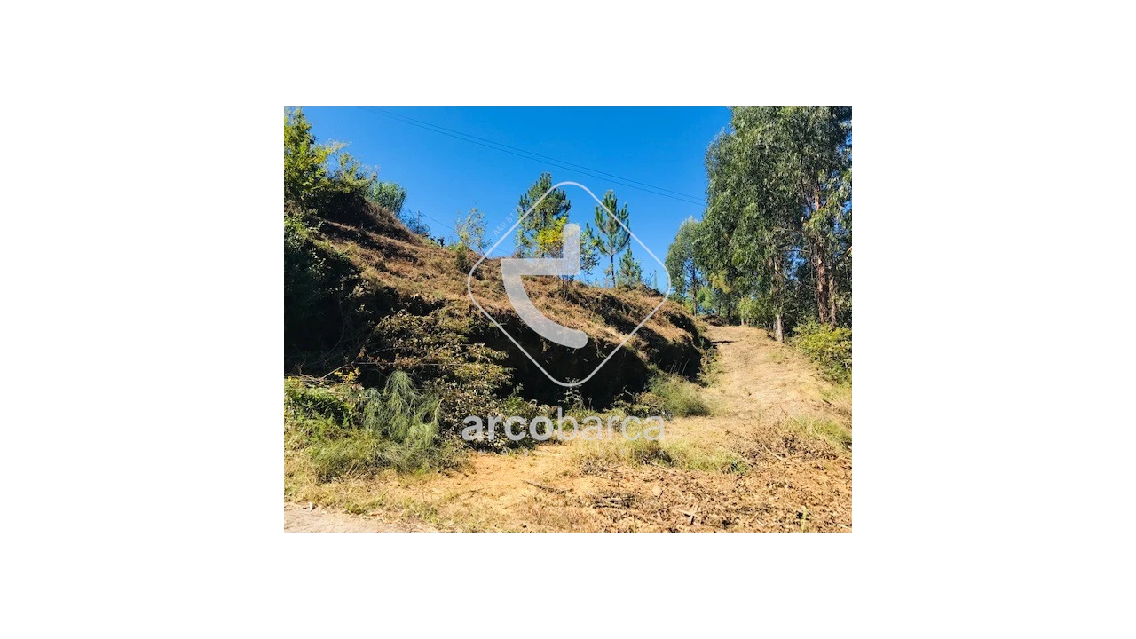 Terreno para Venda em Infesta Foto 13