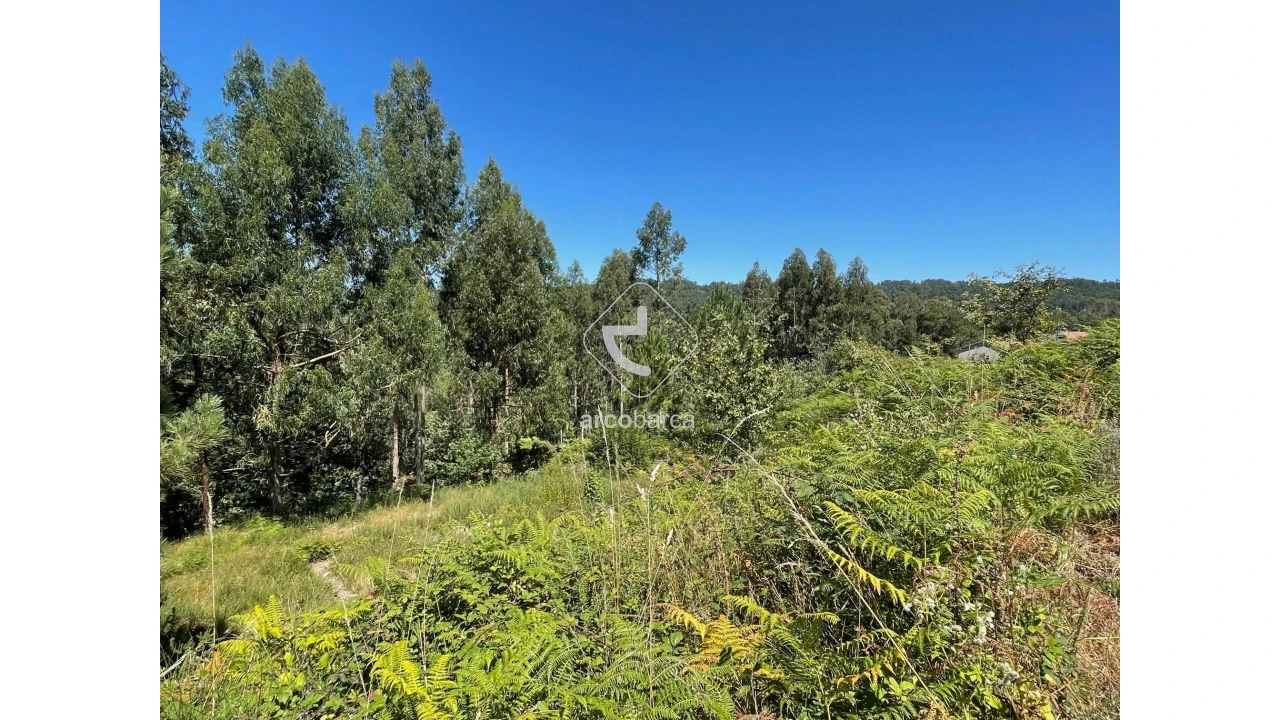 Terreno para Venda em Infesta Foto 1