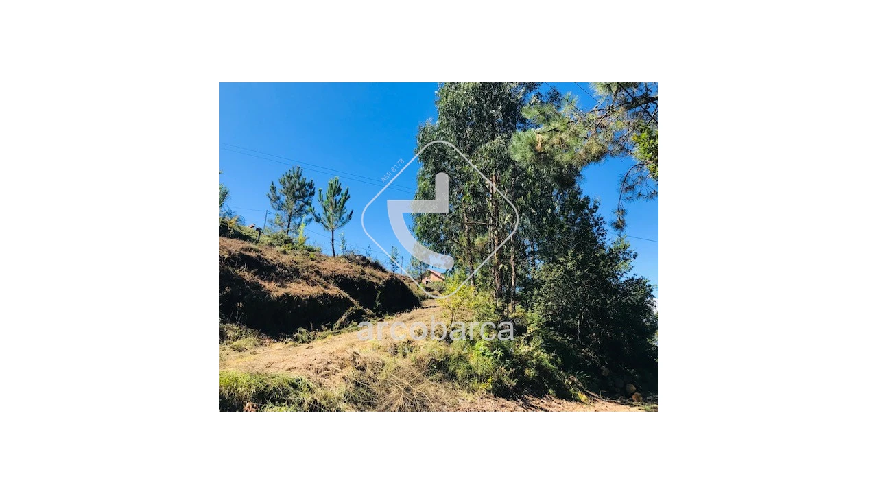 Terreno para Venda em Infesta Foto 19