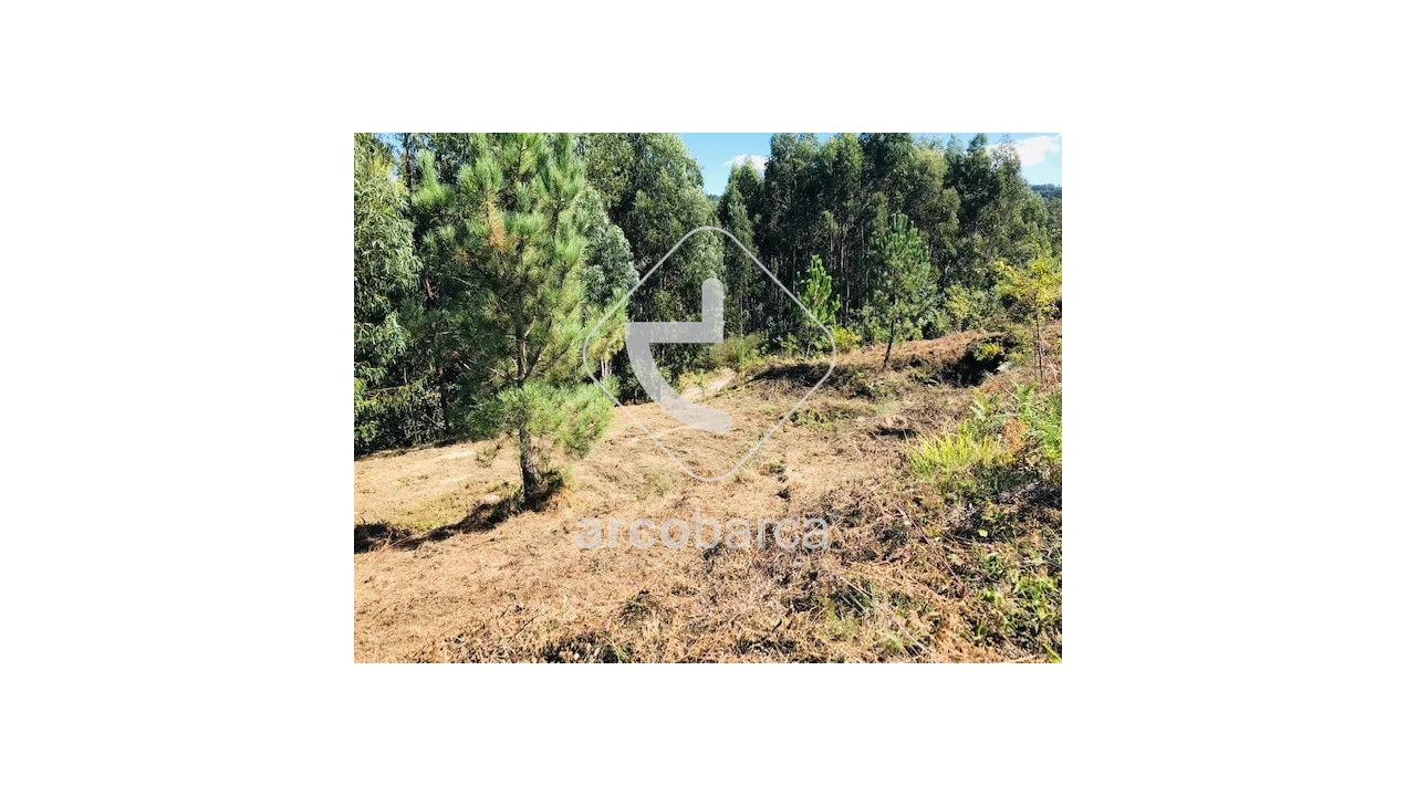 Terreno para Venda em Infesta Foto 9