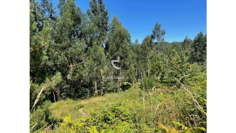 Terreno para Venda em Infesta Foto 27