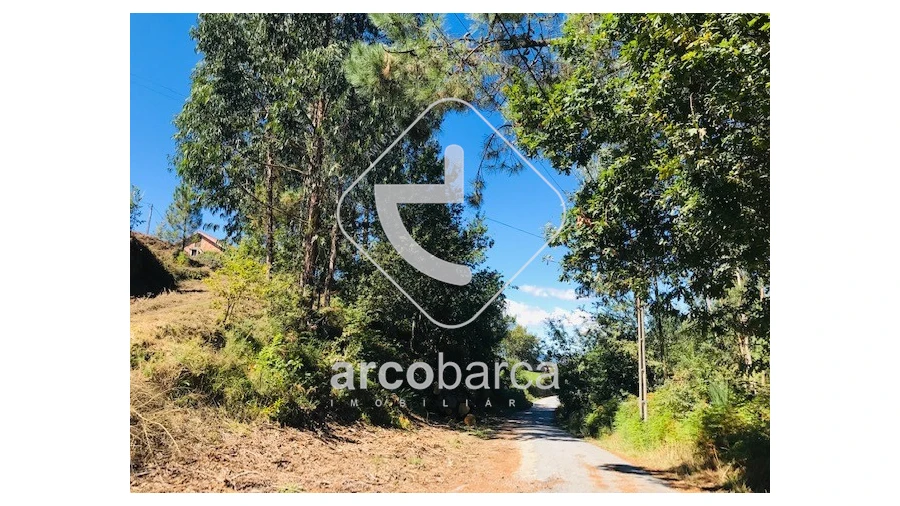 Terreno para Venda em Infesta Foto 20