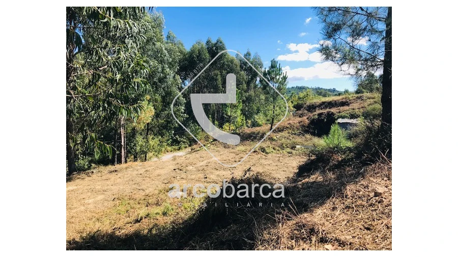 Terreno para Venda em Infesta Foto 10