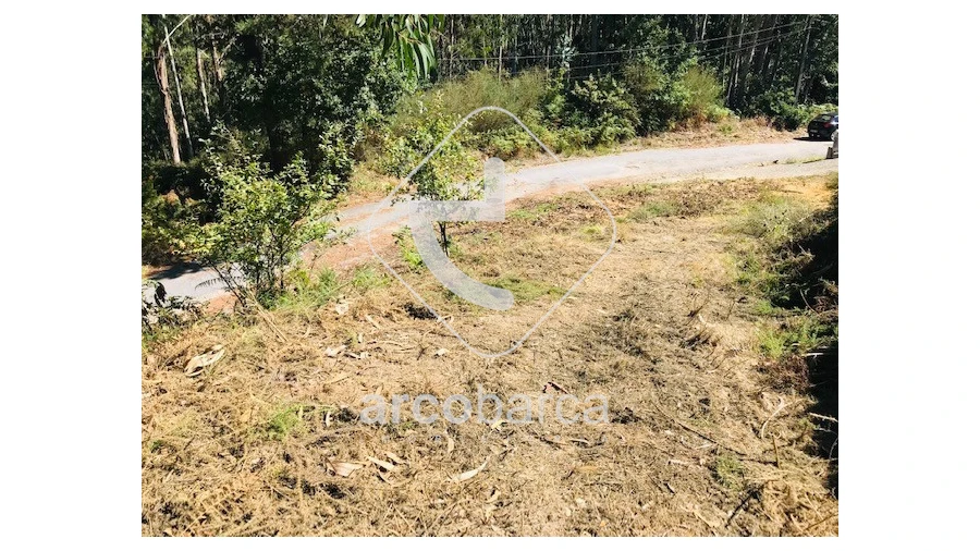 Terreno para Venda em Infesta Foto 18