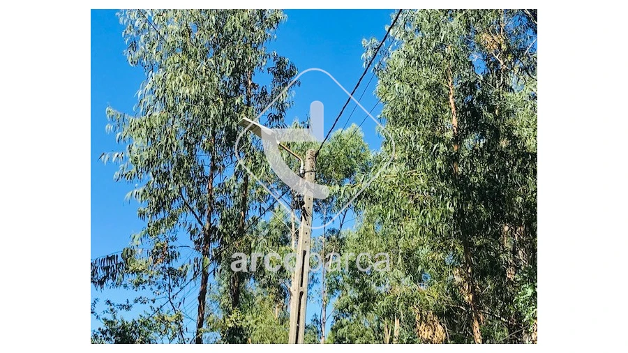 Terreno para Venda em Infesta Foto 23