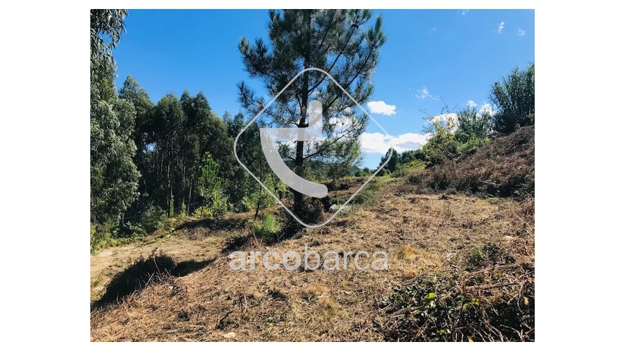 Terreno para Venda em Infesta Foto 12