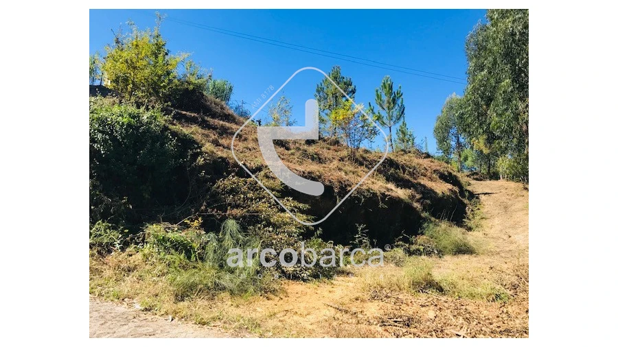 Terreno para Venda em Infesta Foto 14