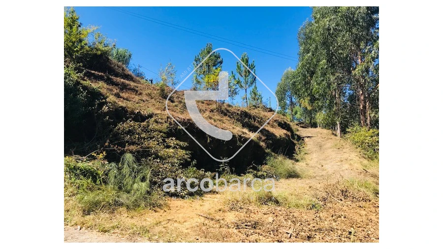 Terreno para Venda em Infesta Foto 13