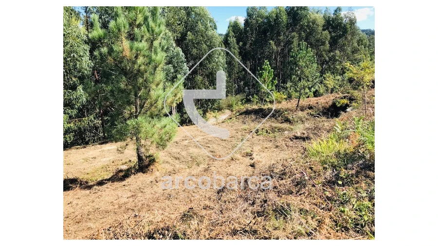 Terreno para Venda em Infesta Foto 9