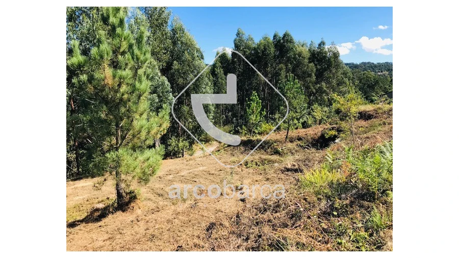 Terreno para Venda em Infesta Foto 3