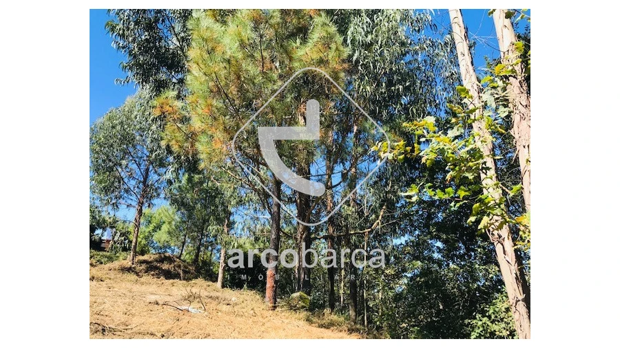 Terreno para Venda em Infesta Foto 17