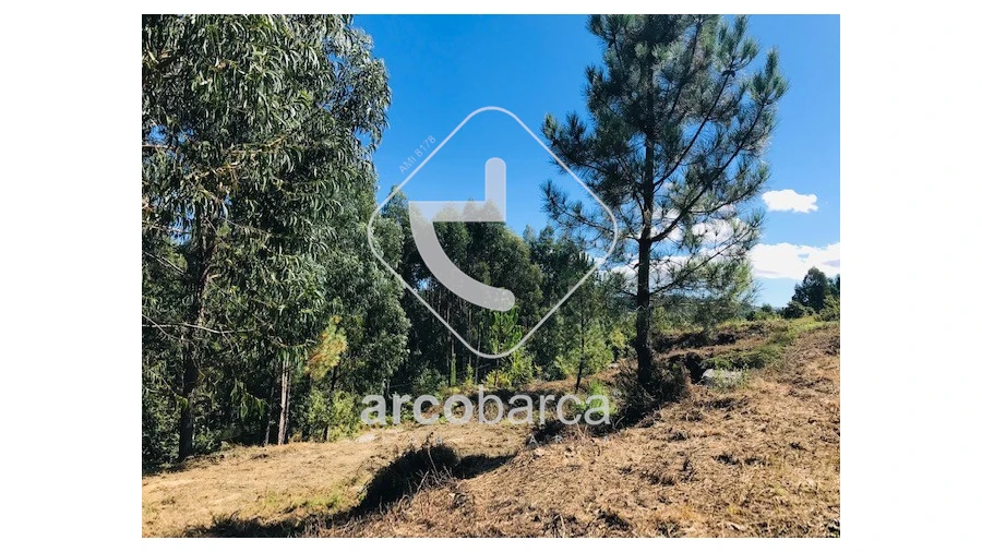 Terreno para Venda em Infesta Foto 11