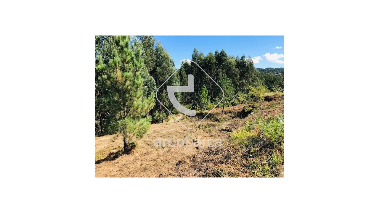 Terreno para Venda em Infesta Foto 3