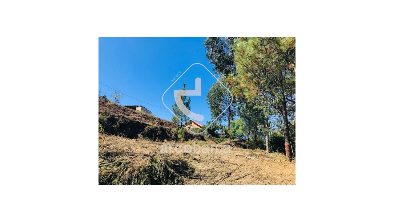 Terreno para Venda em Infesta Foto 16