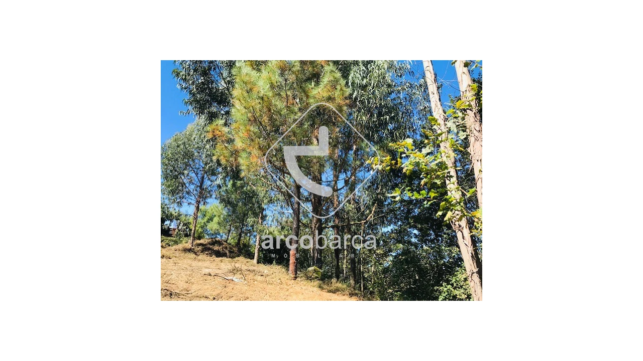 Terreno para Venda em Infesta Foto 17