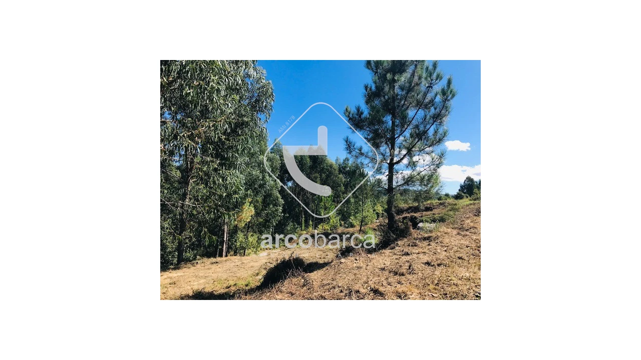 Terreno para Venda em Infesta Foto 11