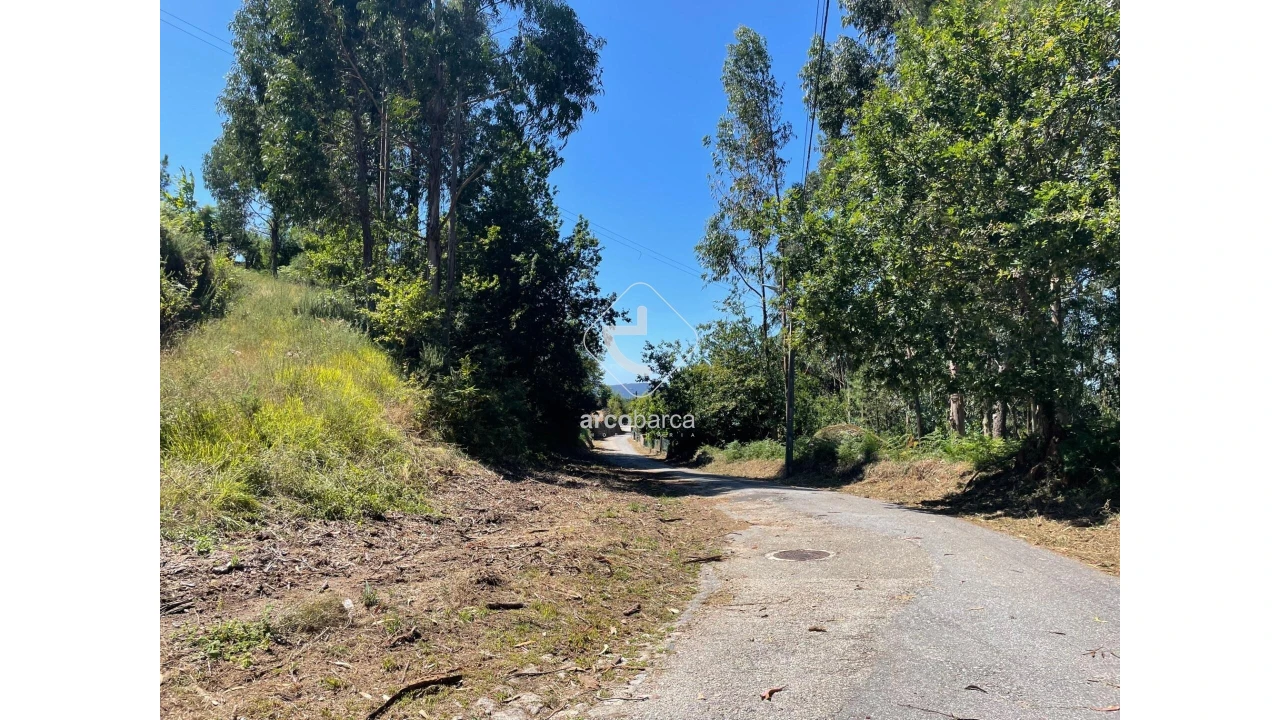 Terreno para Venda em Infesta Foto 28