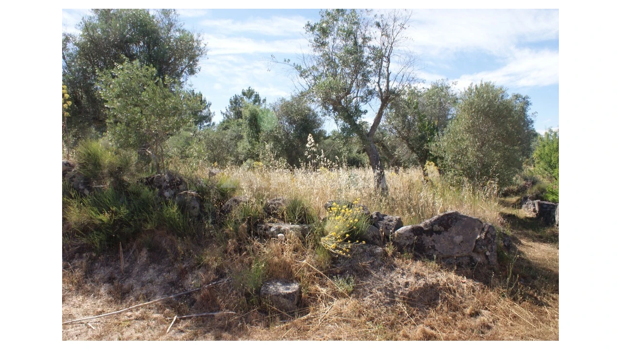 Terreno para Venda em Pedrógão de São Pedro e Bemposta Foto 14