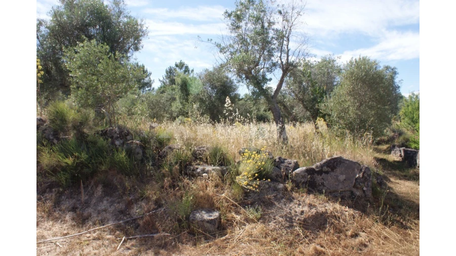 Terreno para Venda em Pedrógão de São Pedro e Bemposta Foto 14
