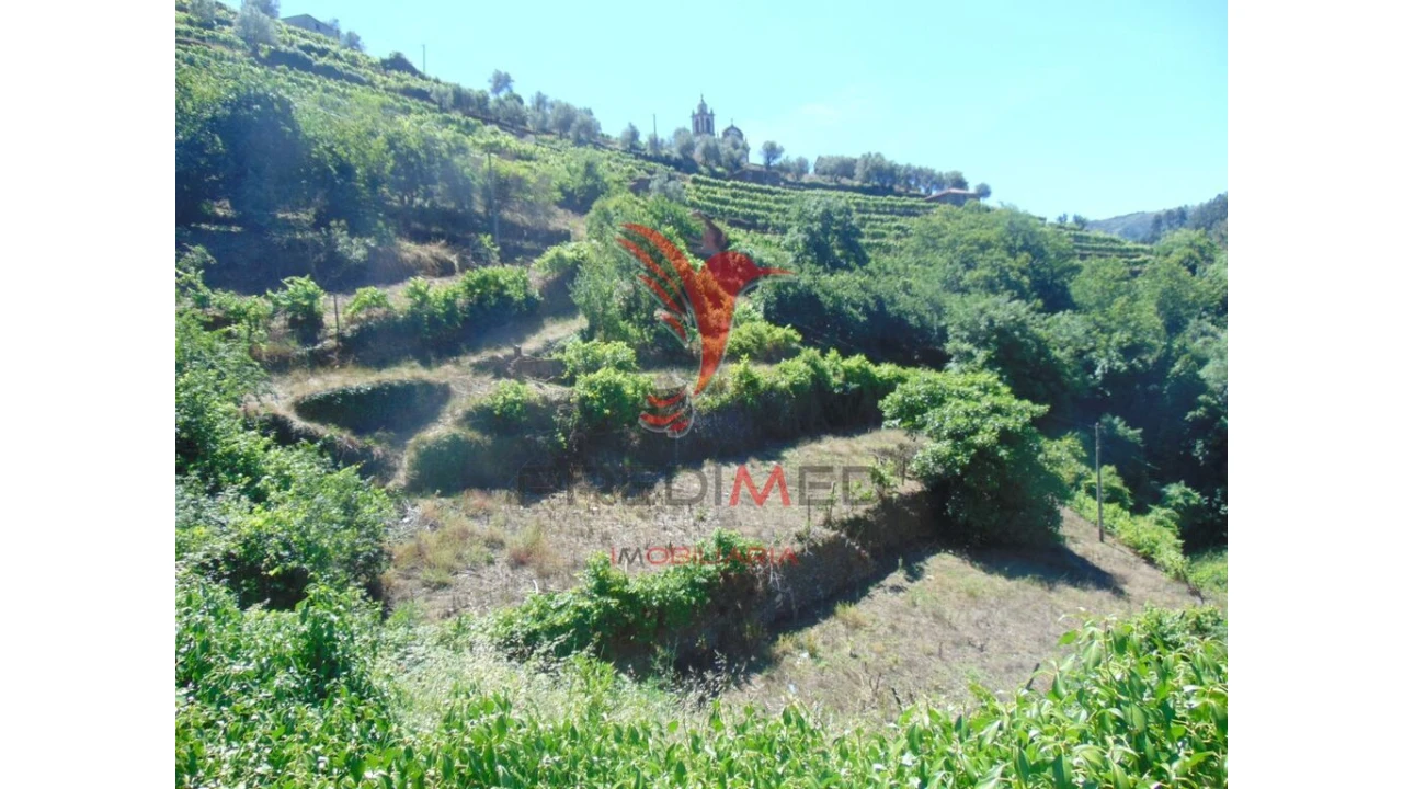Terreno para Venda em Louredo e Fornelos Foto 11