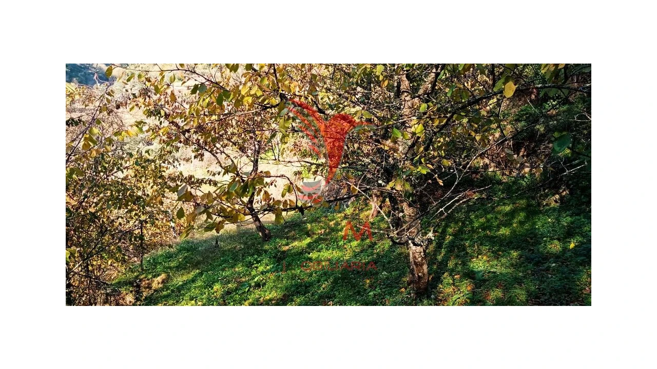 Terreno para Venda em Louredo e Fornelos Foto 17