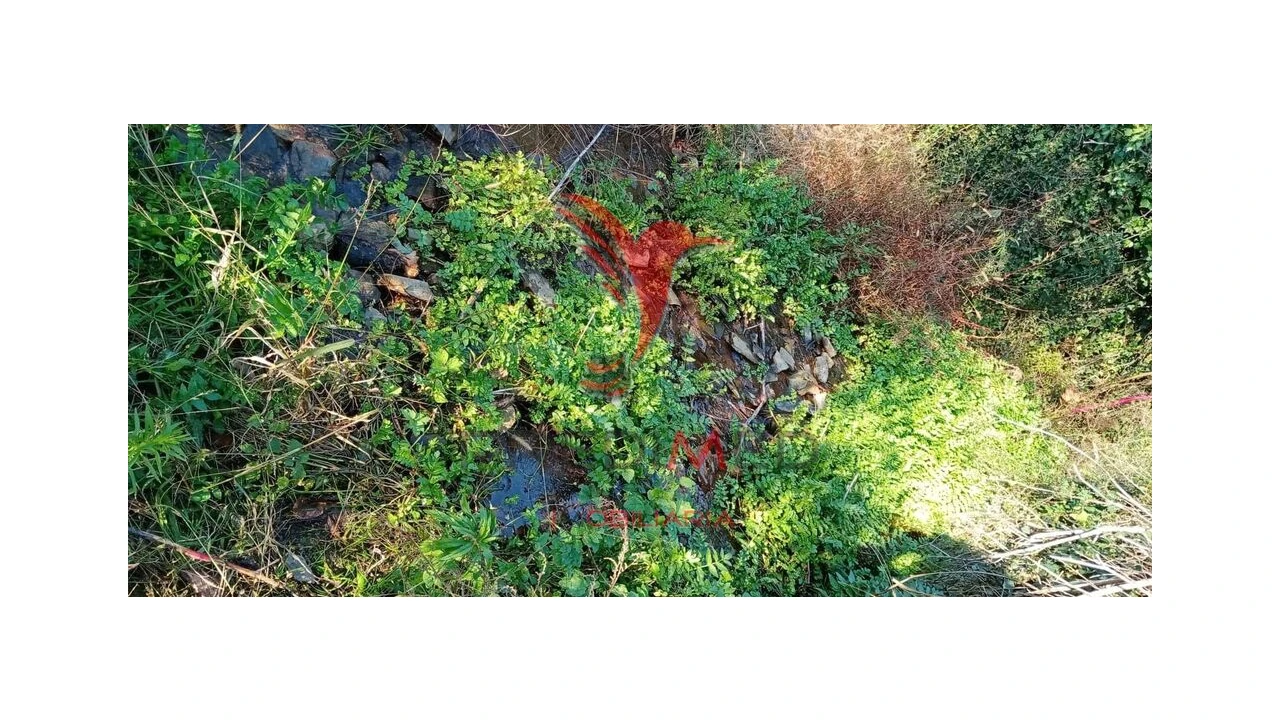 Terreno para Venda em Louredo e Fornelos Foto 18