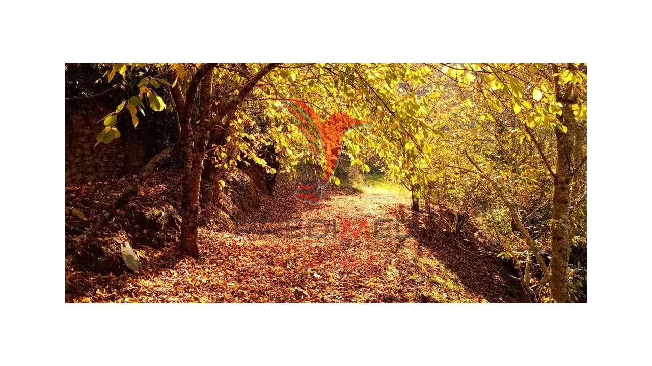 Terreno para Venda em Louredo e Fornelos Foto 1