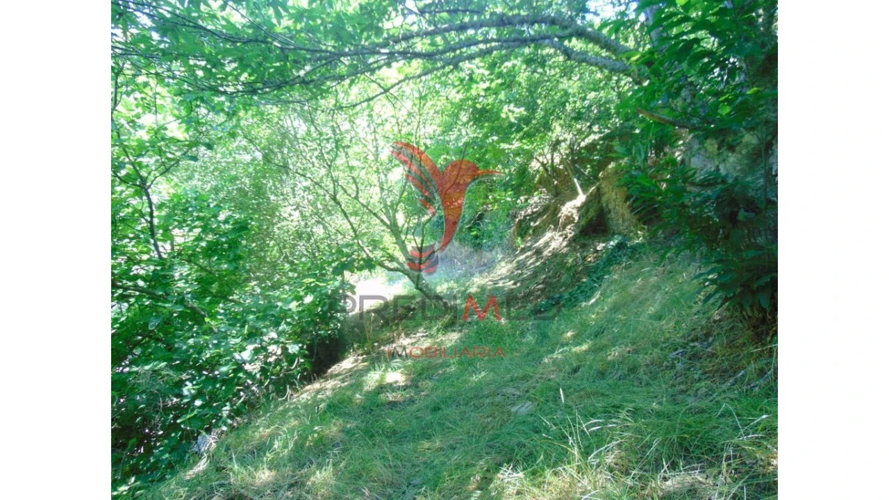 Terreno para Venda em Louredo e Fornelos Foto 14