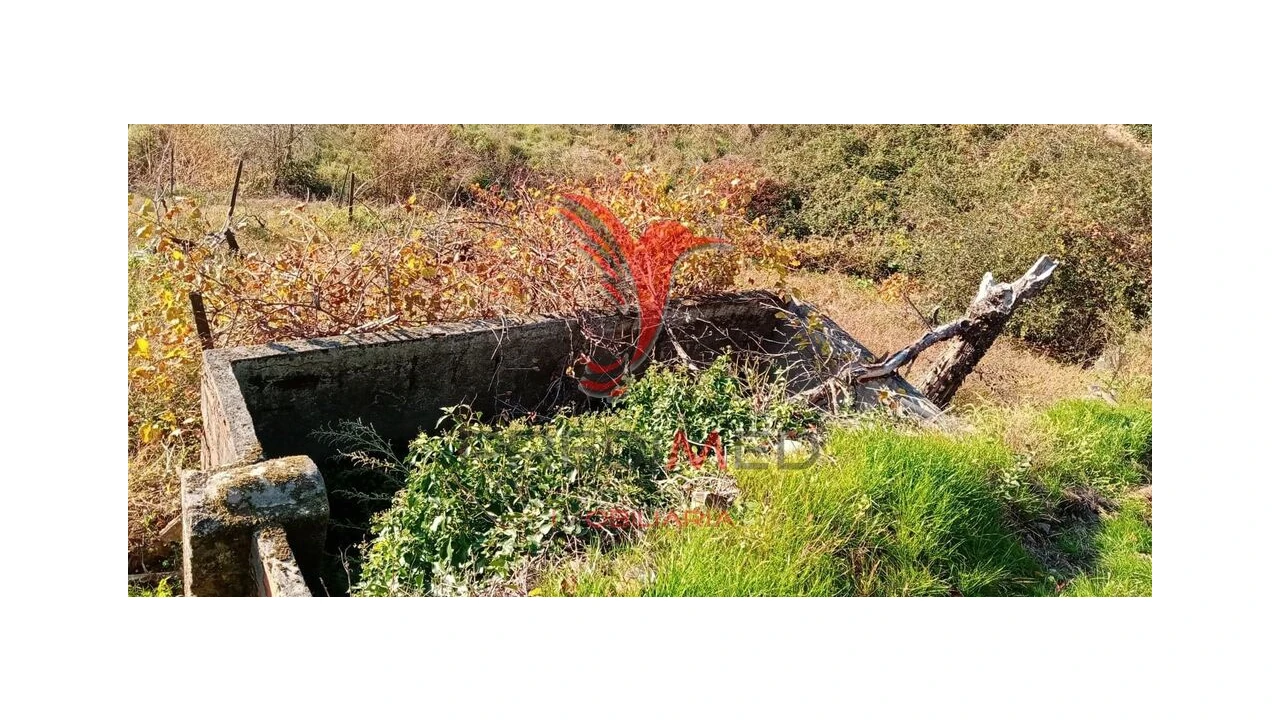 Terreno para Venda em Louredo e Fornelos Foto 19