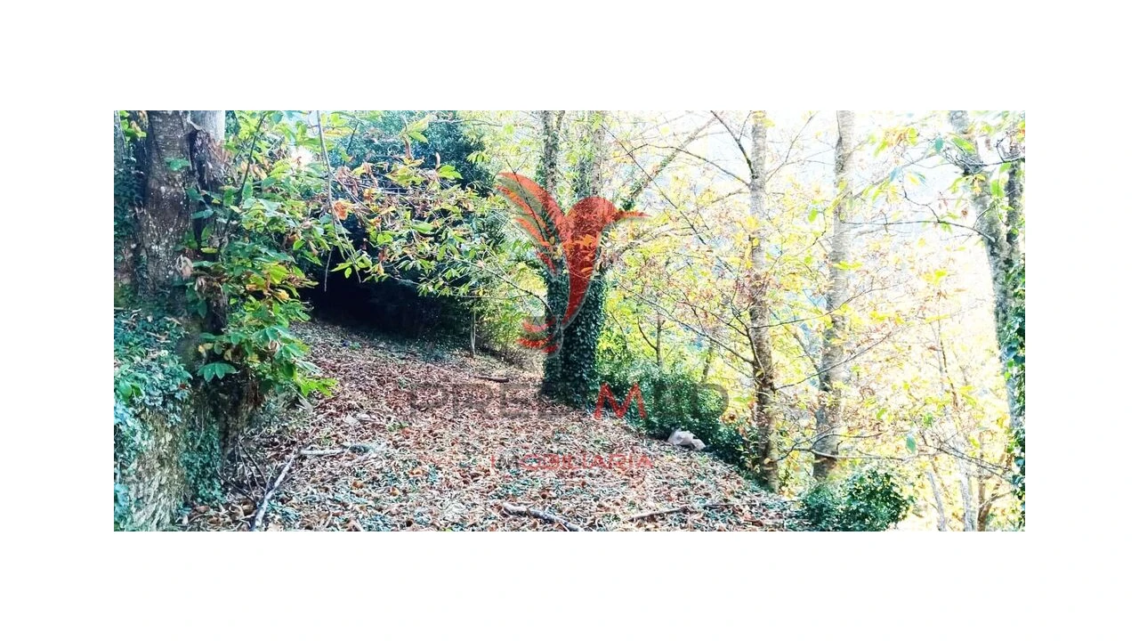 Terreno para Venda em Louredo e Fornelos Foto 2
