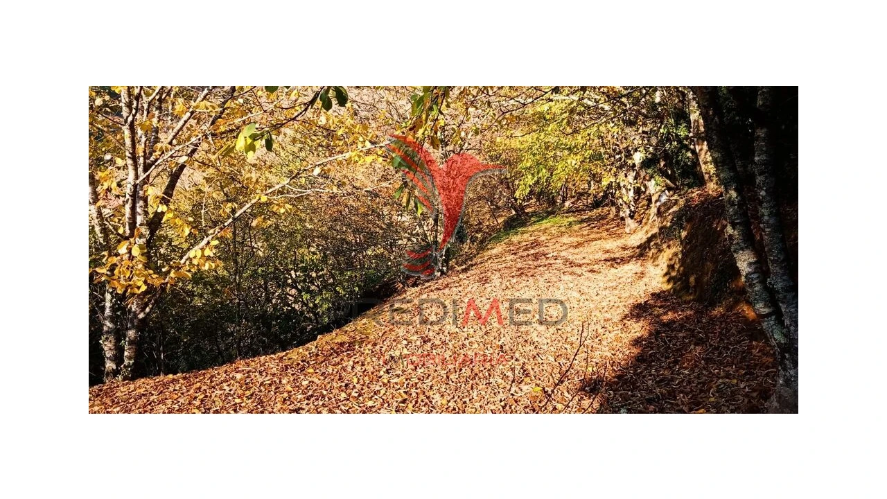 Terreno para Venda em Louredo e Fornelos Foto 20