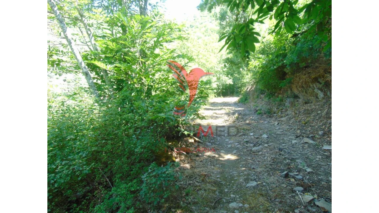 Terreno para Venda em Louredo e Fornelos Foto 16