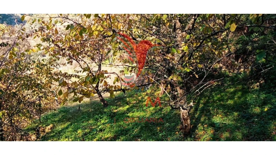 Terreno para Venda em Louredo e Fornelos Foto 17