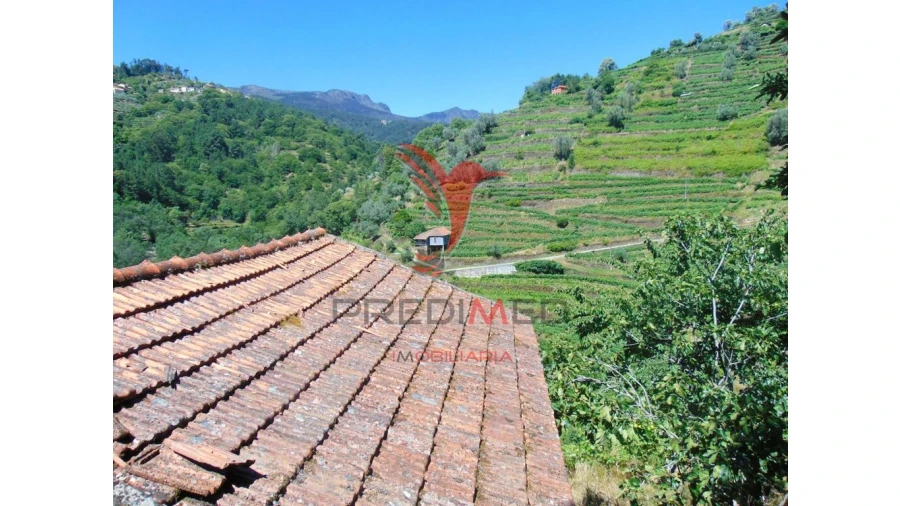 Terreno para Venda em Louredo e Fornelos Foto 9