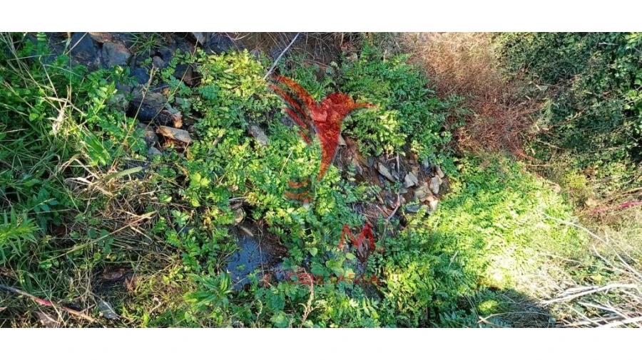 Terreno para Venda em Louredo e Fornelos Foto 18