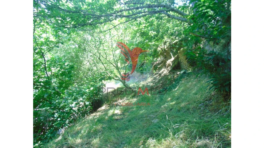 Terreno para Venda em Louredo e Fornelos Foto 14
