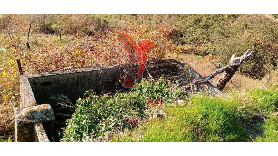 Terreno para Venda em Louredo e Fornelos Foto 19