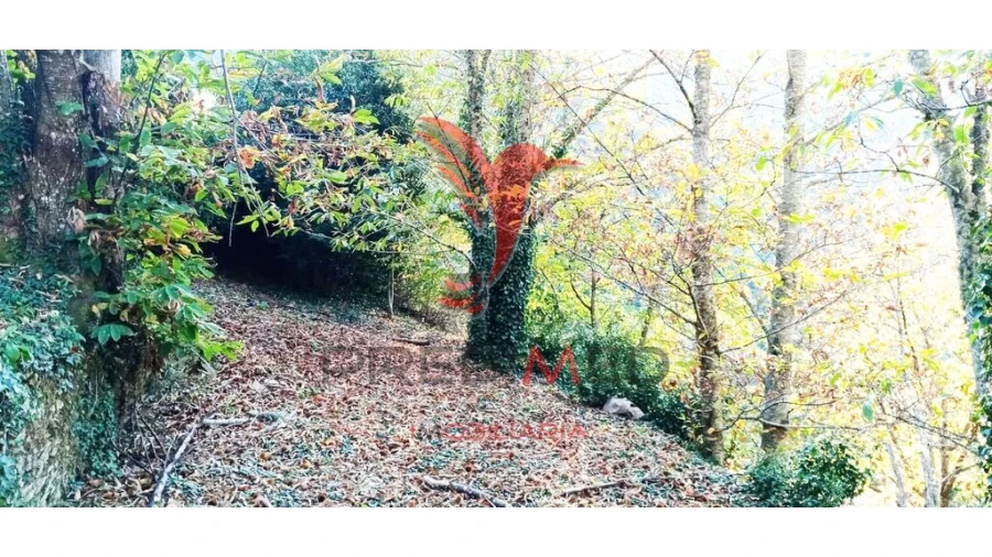 Terreno para Venda em Louredo e Fornelos Foto 2