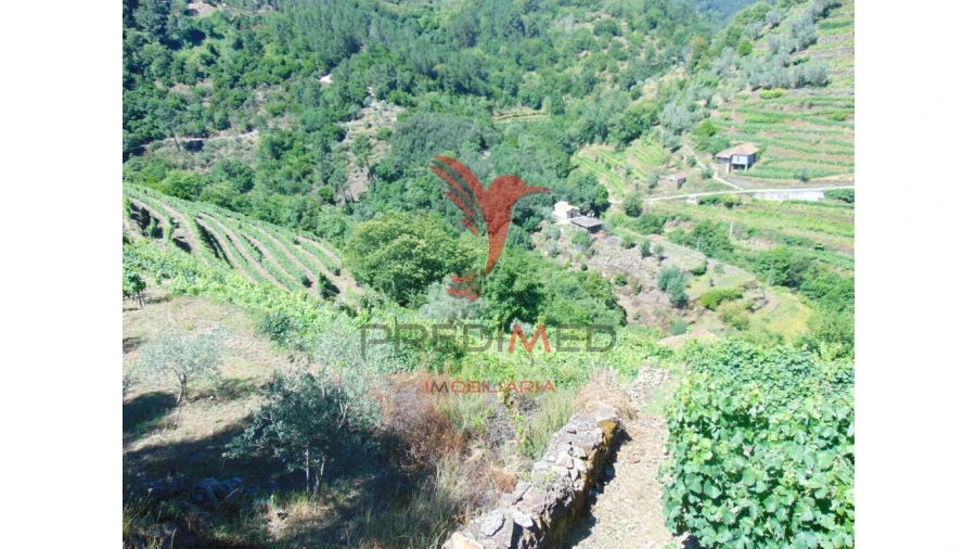 Terreno para Venda em Louredo e Fornelos Foto 4