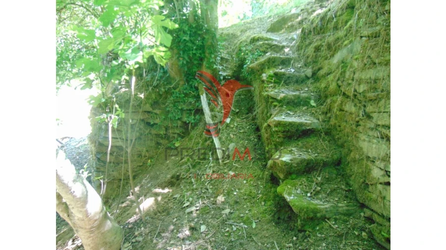 Terreno para Venda em Louredo e Fornelos Foto 12