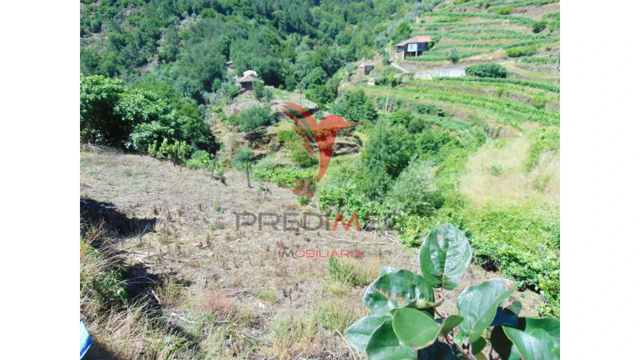 Terreno para Venda em Louredo e Fornelos Foto 13