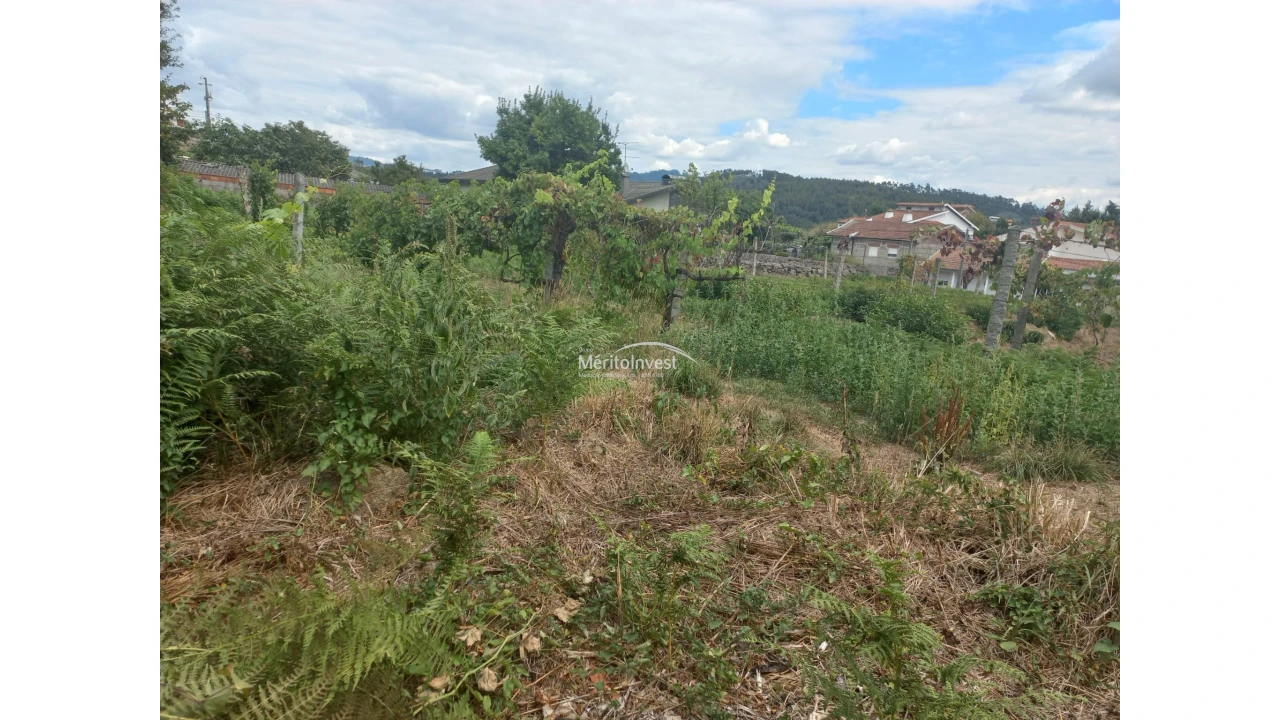 Terreno para Venda em Moreira de Conegos Foto 8