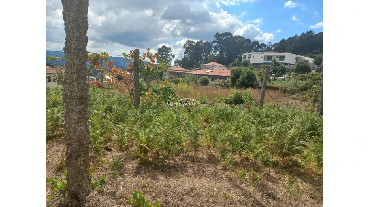 Terreno para Venda em Moreira de Conegos Foto 10