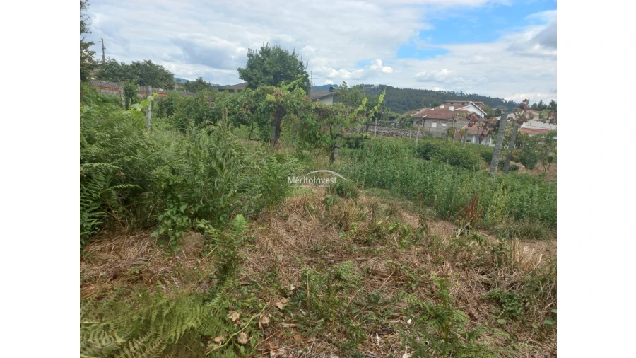 Terreno para Venda em Moreira de Conegos Foto 8