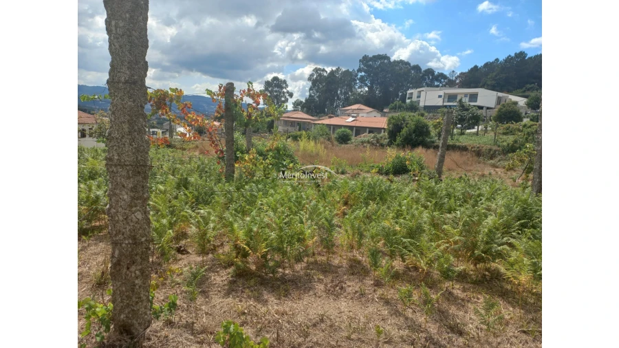 Terreno para Venda em Moreira de Conegos Foto 10